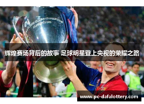 辉煌赛场背后的故事 足球明星登上央视的荣耀之路