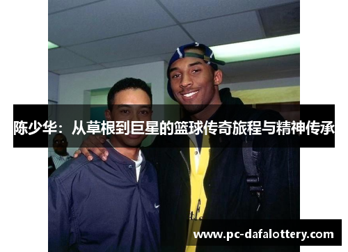 陈少华：从草根到巨星的篮球传奇旅程与精神传承
